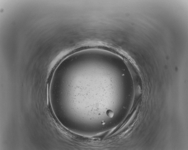 X0000061761175200512091653