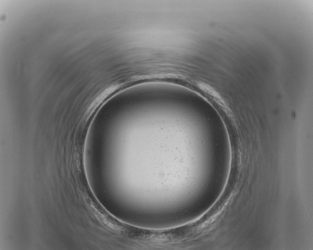 X0000061761177200512091653