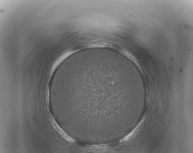 X0000061761179200512091653