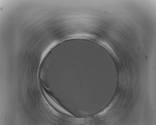 X0000061761180200512091653