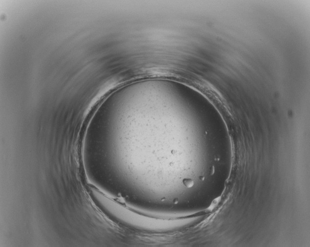 X0000061761182200512091653