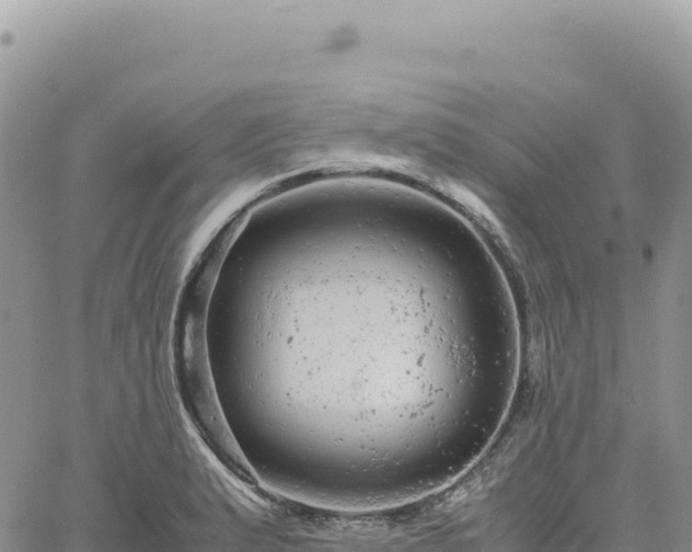 X0000061761183200512091653