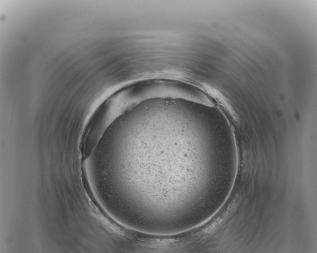 X0000061761184200512091653