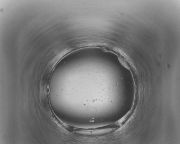 X0000061761185200512091653