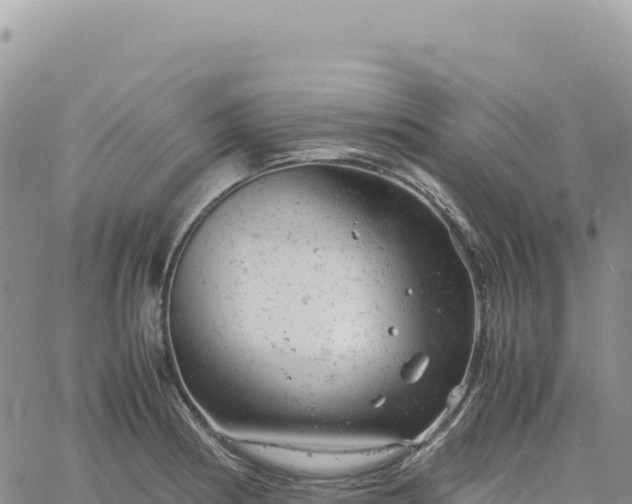 X0000061761186200512091653