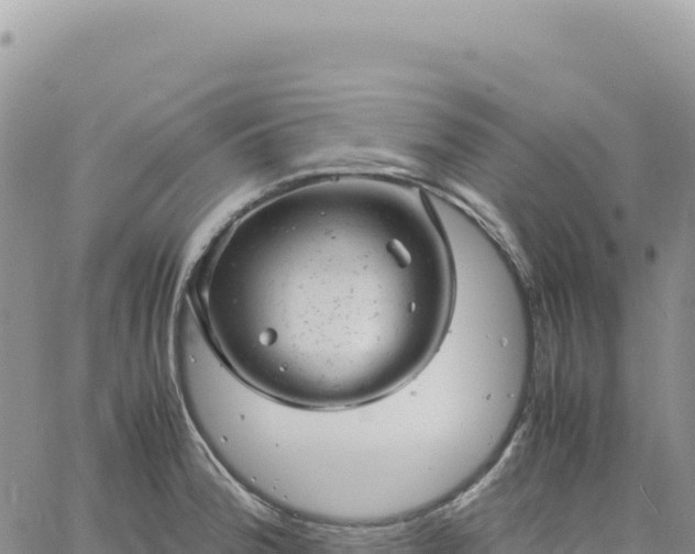 X0000061761188200512091653