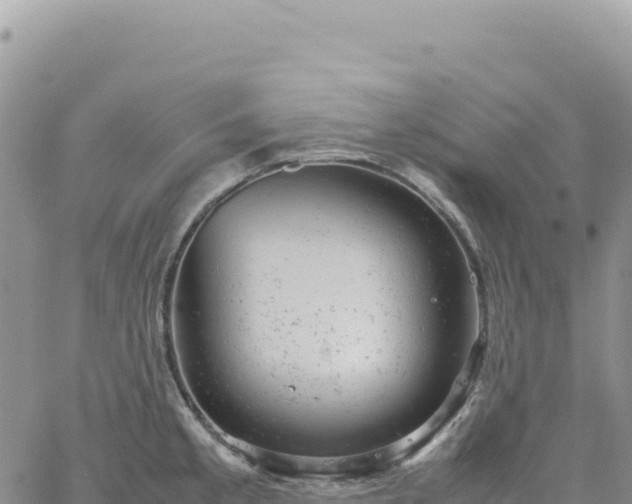 X0000061761189200512091653