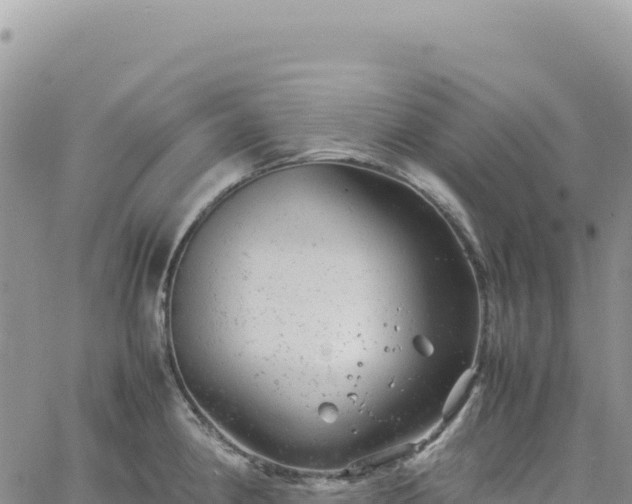 X0000061761190200512091653