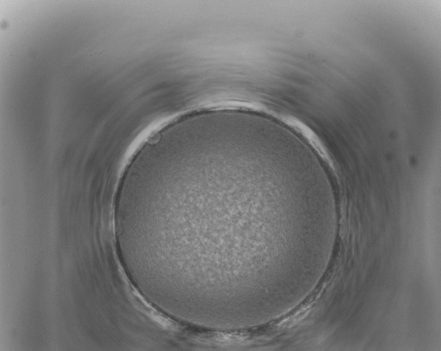 X0000061761191200512091653