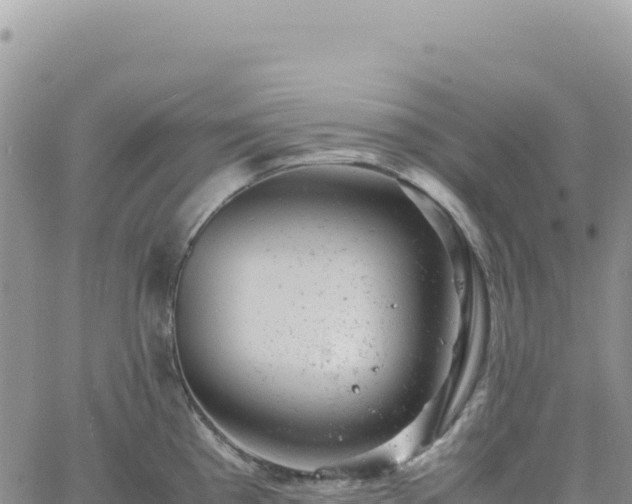 X0000061761193200512091653