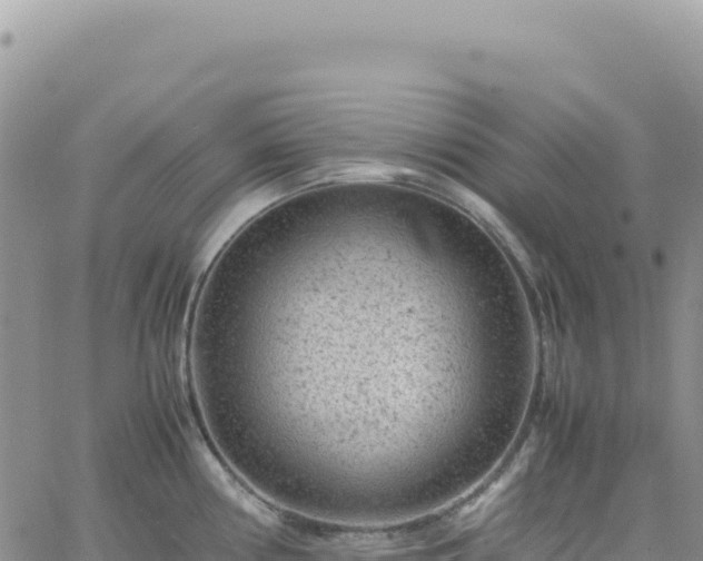 X0000061761194200512091653