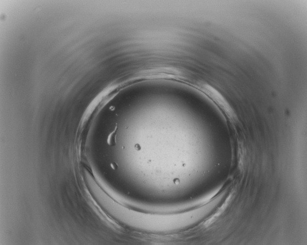 X0000061761196200512091653