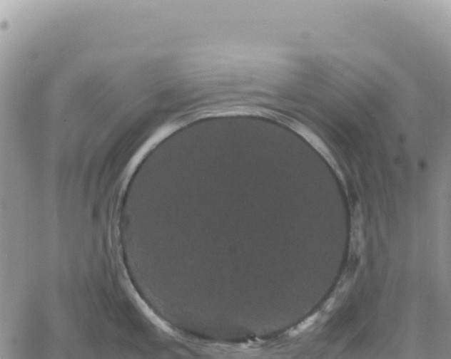 X0000061761197200512091653