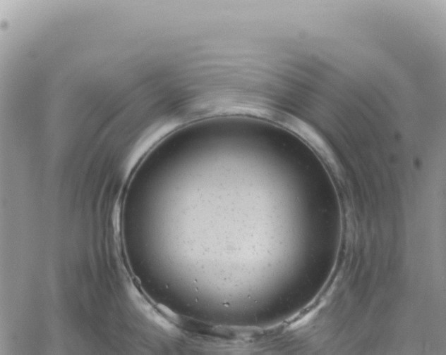 X0000061761198200512091653