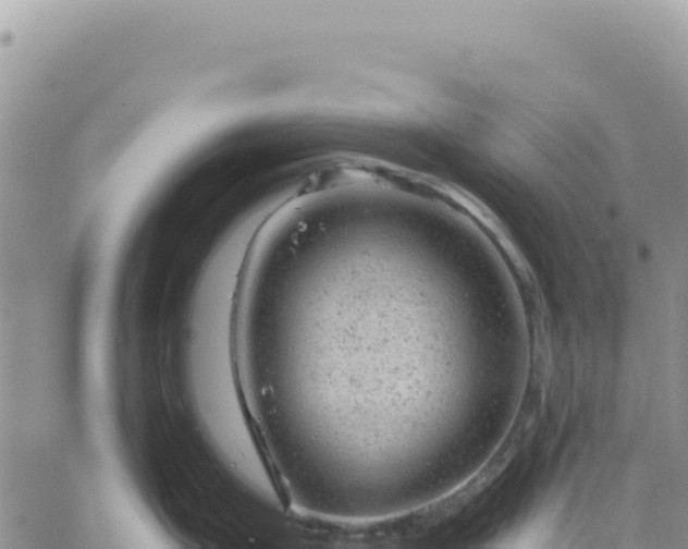 X0000061761199200512091653