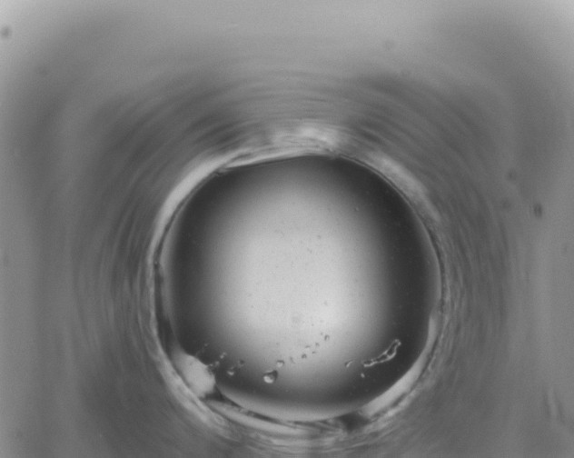 X0000061761200200512091653