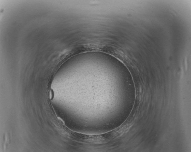 X0000061761201200512091652