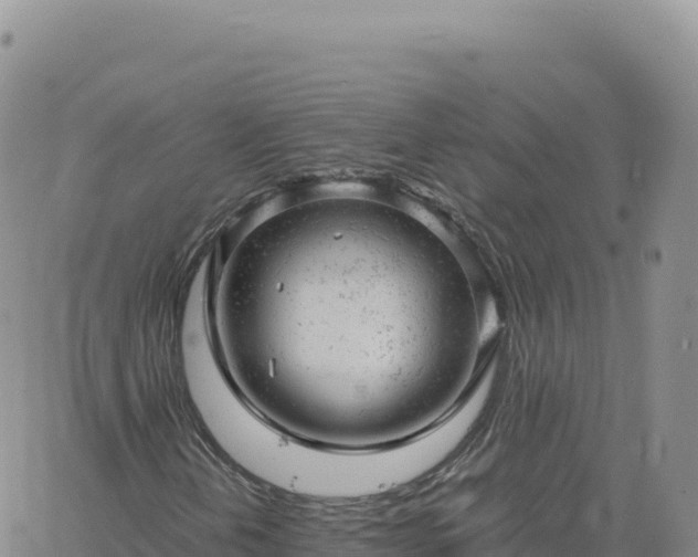 X0000061761202200512091652