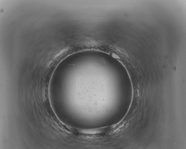 X0000061761205200512091652