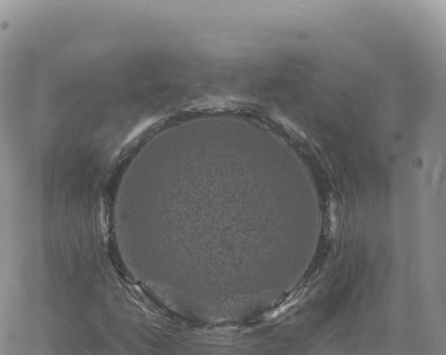 X0000061761206200512091652