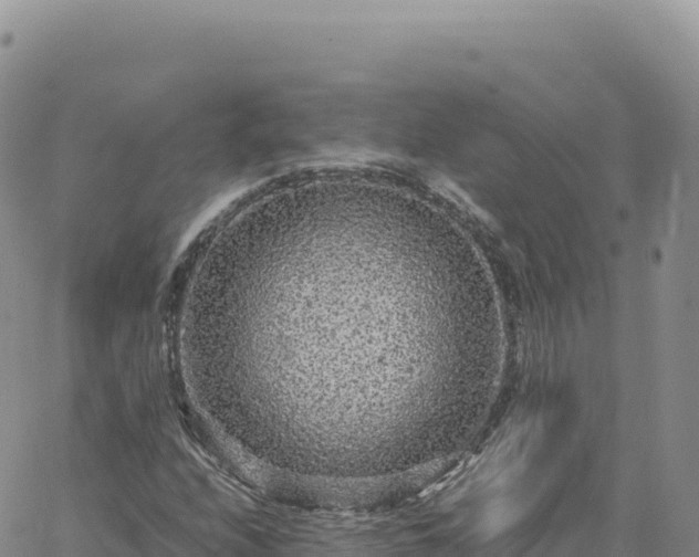 X0000061761208200512091652