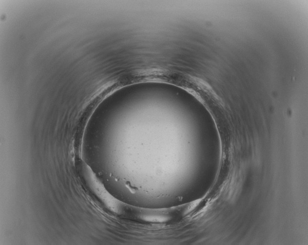 X0000061761209200512091652