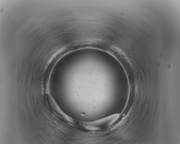 X0000061761210200512091652