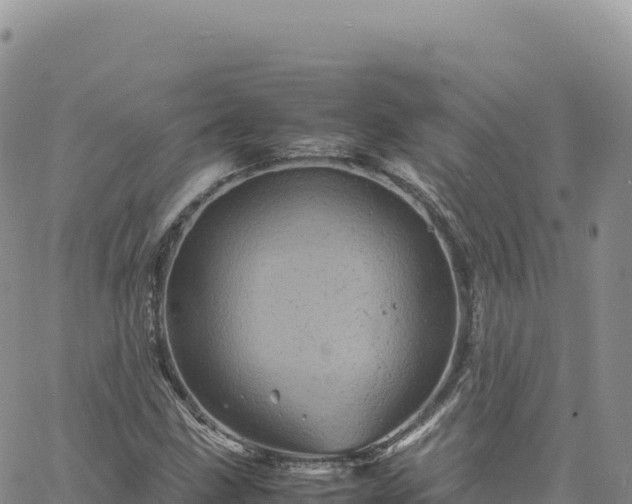 X0000061761211200512091652