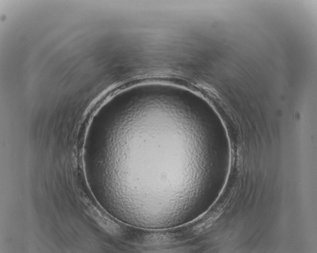 X0000061761212200512091652