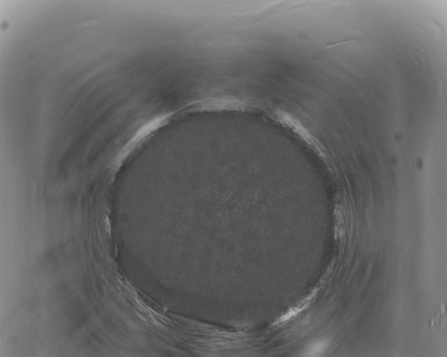 X0000061761213200512091652