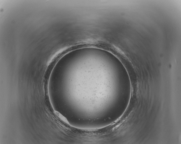 X0000061761214200512091652