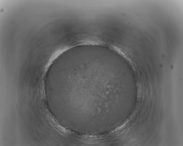 X0000061761215200512091652