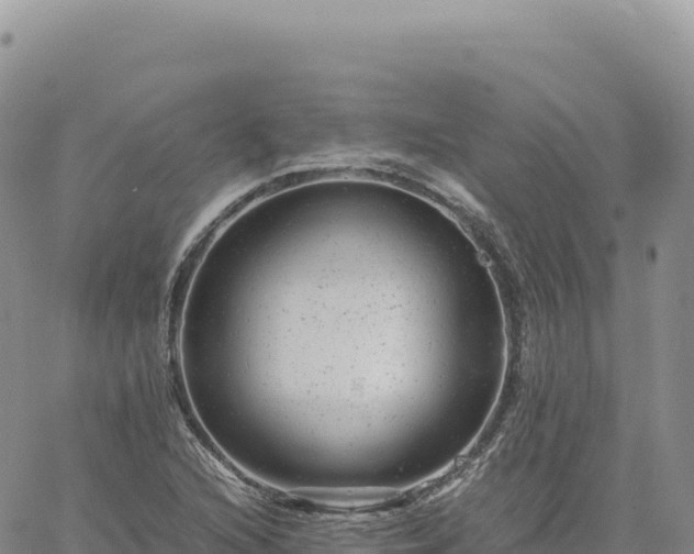 X0000061761216200512091652