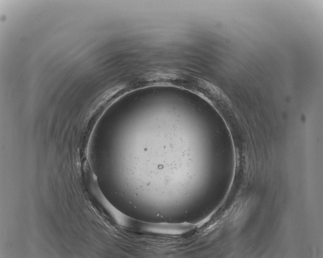 X0000061761217200512091652