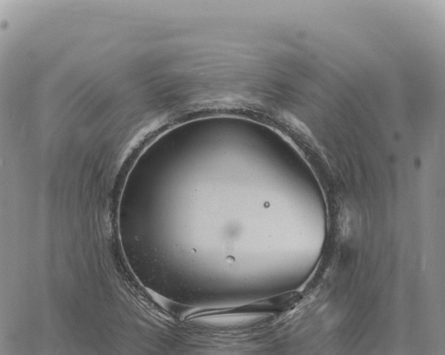 X0000061761218200512091652