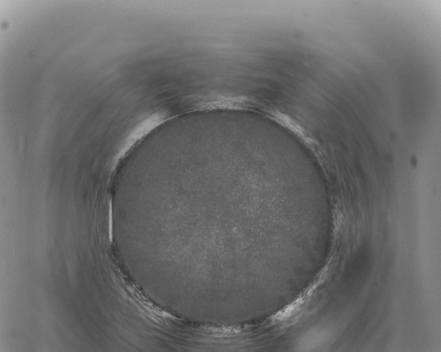 X0000061761219200512091652