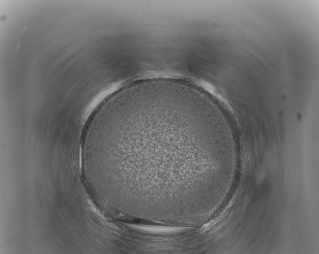 X0000061761221200512091652