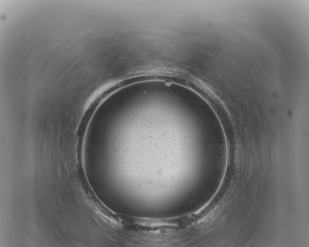 X0000061761222200512091652