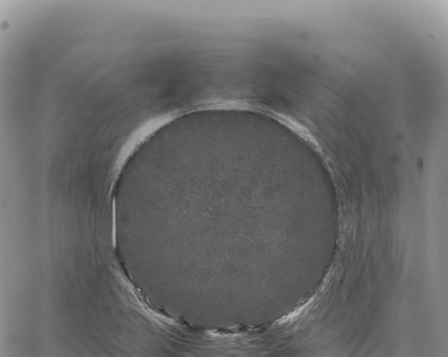 X0000061761223200512091653