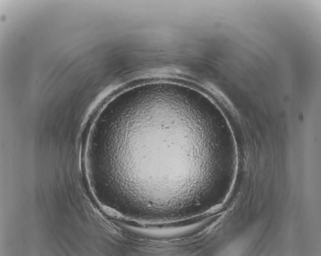 X0000061761224200512091653