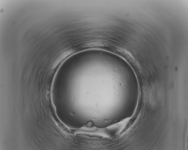 X0000061761225200512091653