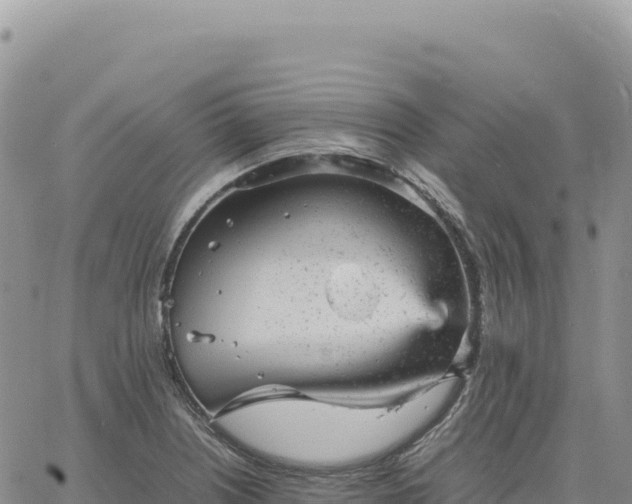 X0000061761226200512091653