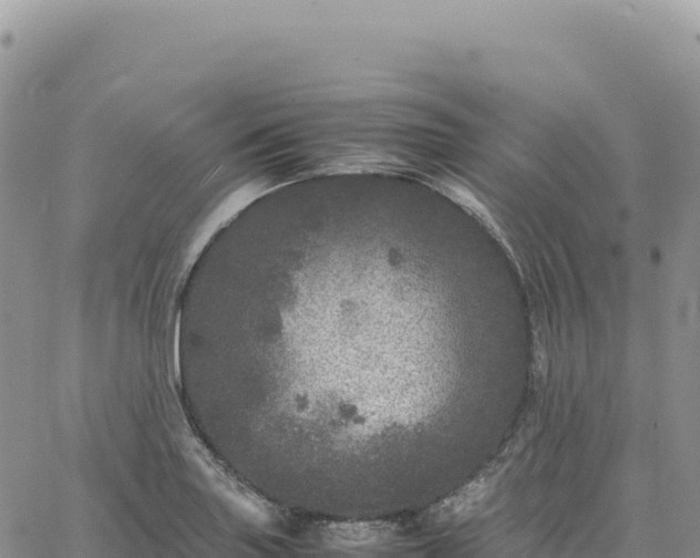 X0000061761227200512091653