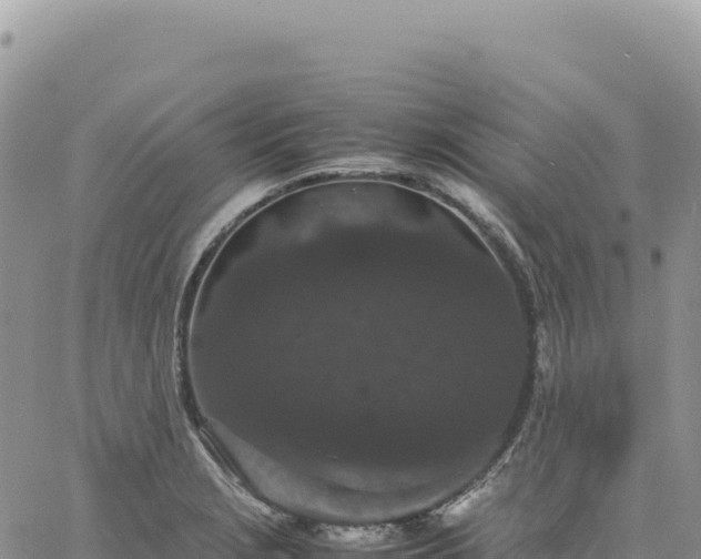 X0000061761229200512091653