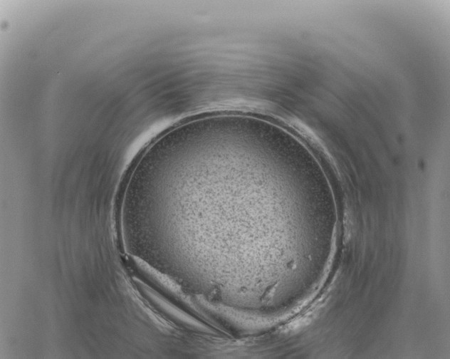 X0000061761230200512091653