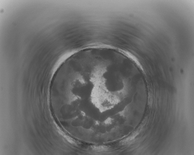 X0000061761231200512091653