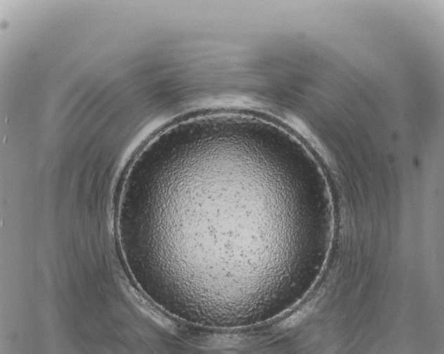 X0000061761232200512091653