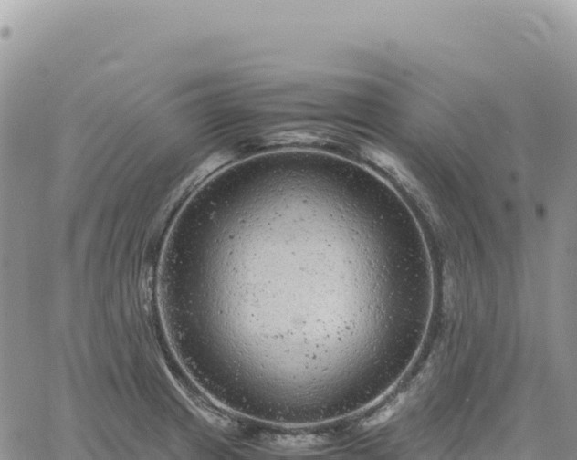 X0000061761233200512091653