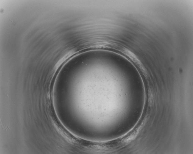 X0000061761234200512091653