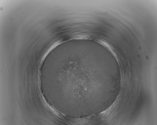 X0000061761235200512091653